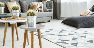 Close-up of round coffee tables with straw mats and cactuses in metal flowerpots in a modern apartment