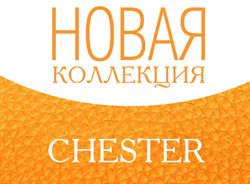 Преложения из Chester в рекламном проспекте Санкт-Петербург